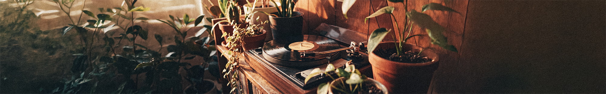 Müzik temalı baskılı tişört ve sweatshirt koleksiyonu