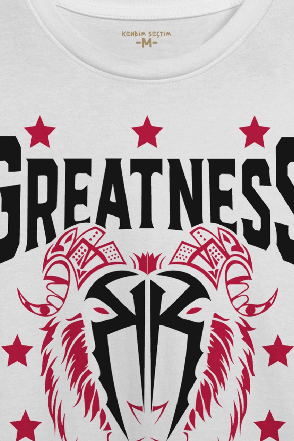Beyaz Erkek Tişört Greatness Roman Reigns Gym Spor Fitness Baskılı T-shirt (1)