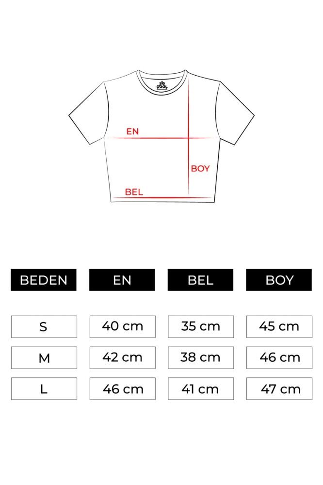 Kadın Crop Tişört Everyone Loves A Turkish Girl Baskılı Açık Mavi Renk T-shirt - 2