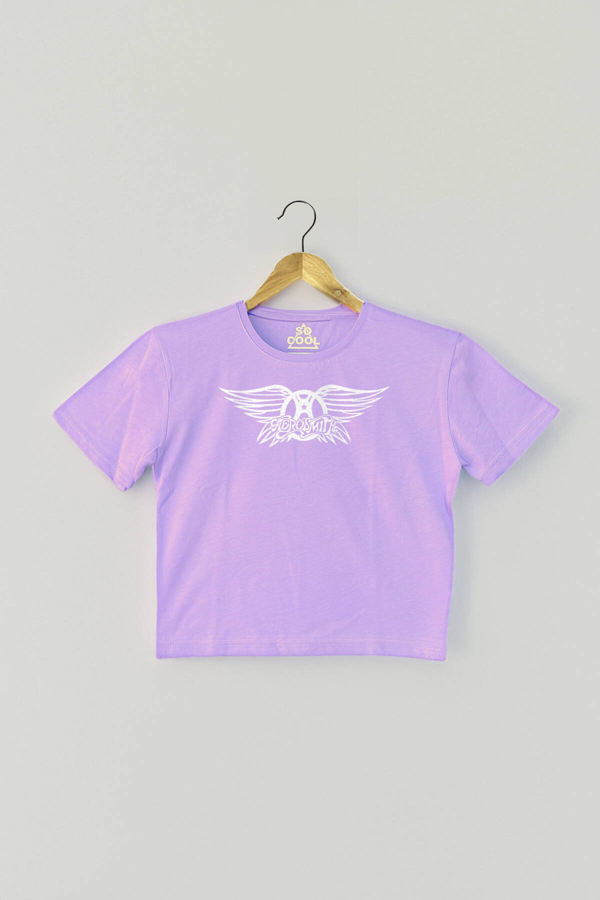 Lila Renk Crop T-shirt Aerosmith Black On Black Wings Baskılı Kadın Tişört Baby Tee