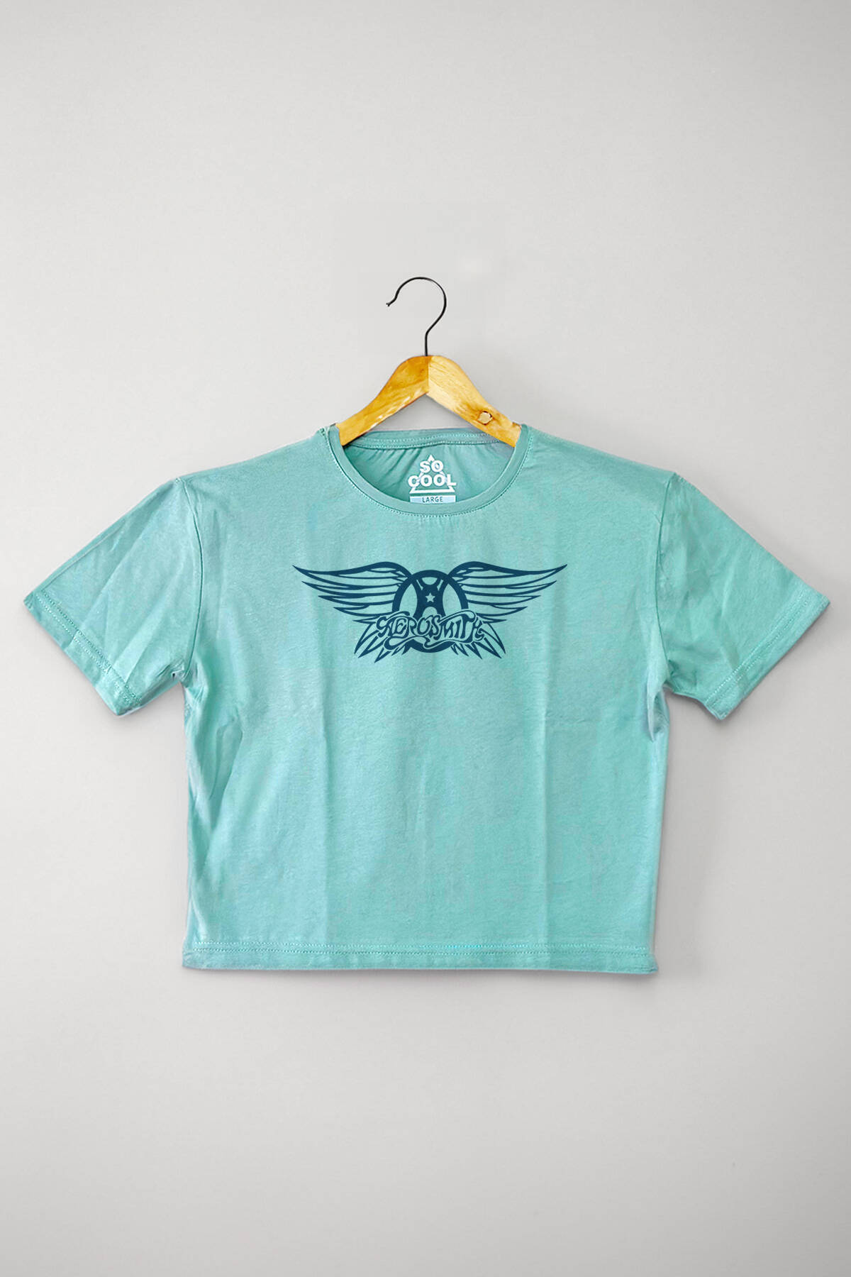 Mint Yeşil Crop T-shirt Aerosmith Black On Black Wings Baskılı Kadın Tişört Baby Tee - 1